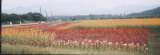 020826_010.jpg 796x278 24bit 2002/10/08 18:55:54 34521 bytes